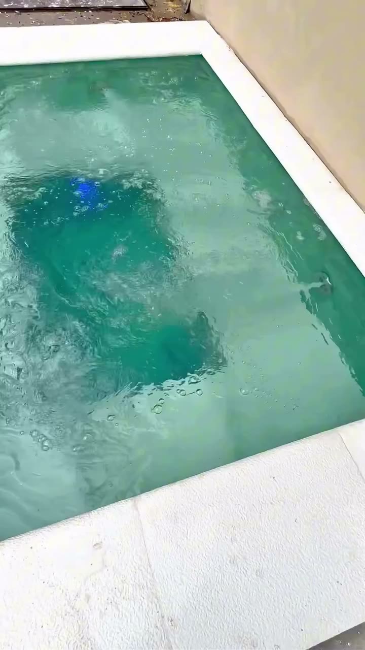 Jacuzzi e hidromassagem